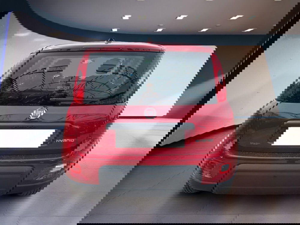 Fiat Panda usata a Torino (6)