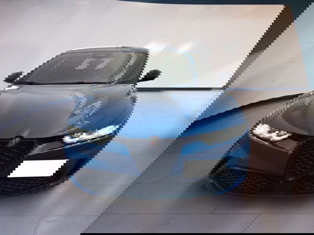 Alfa Romeo Tonale usata a Torino