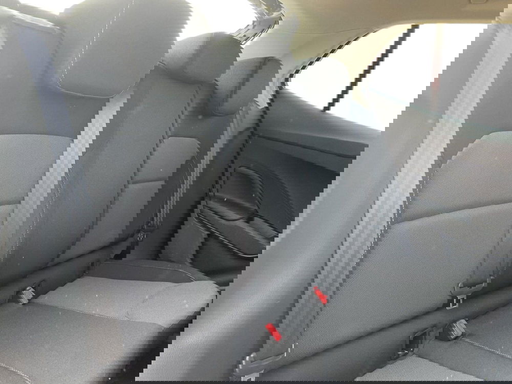 Skoda Fabia nuova a Lucca (14)