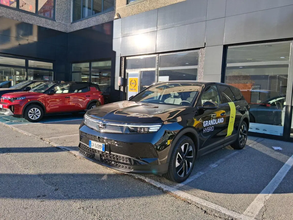 Opel Grandland usata a Aosta (2)