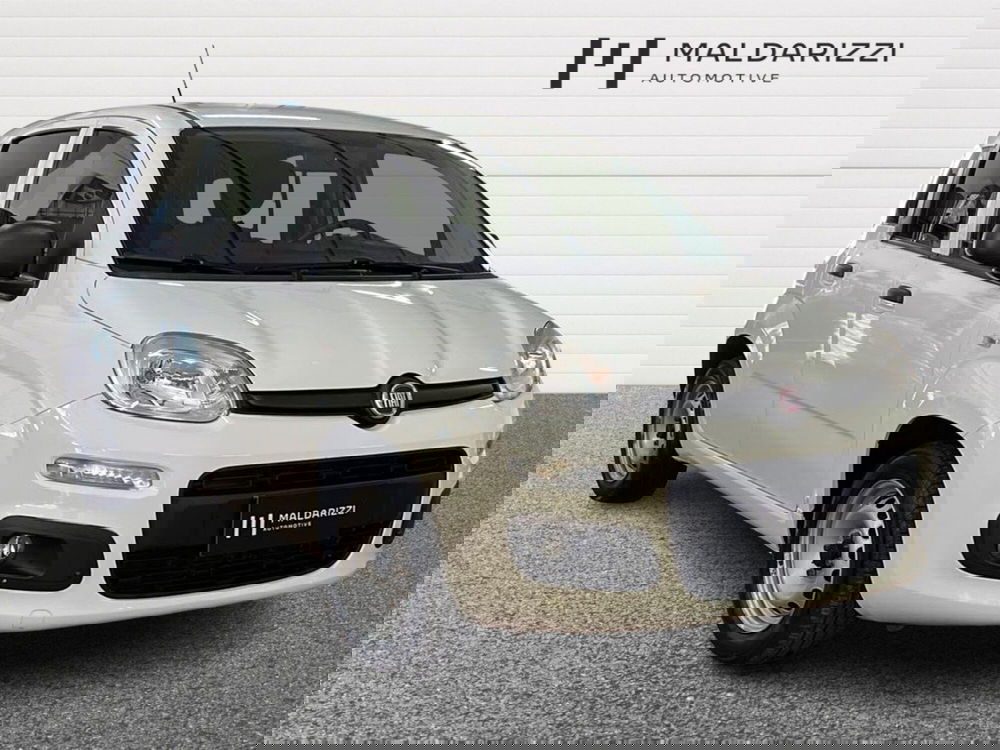 Fiat Panda usata a Bari
