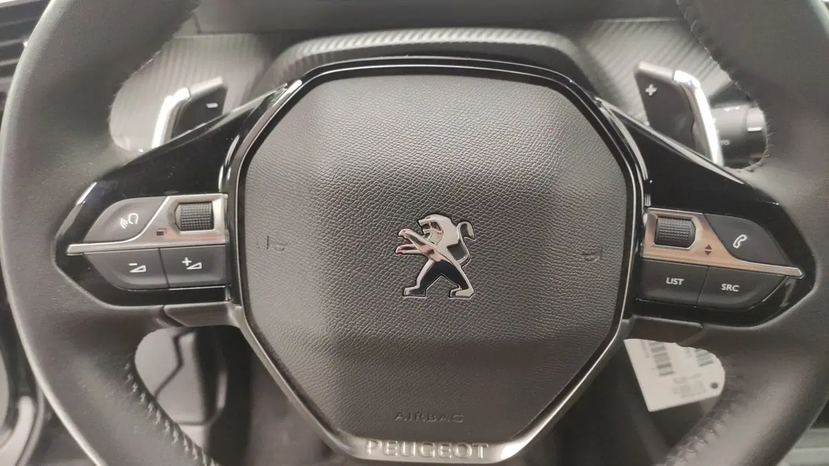 Peugeot 2008 usata a Avellino (18)
