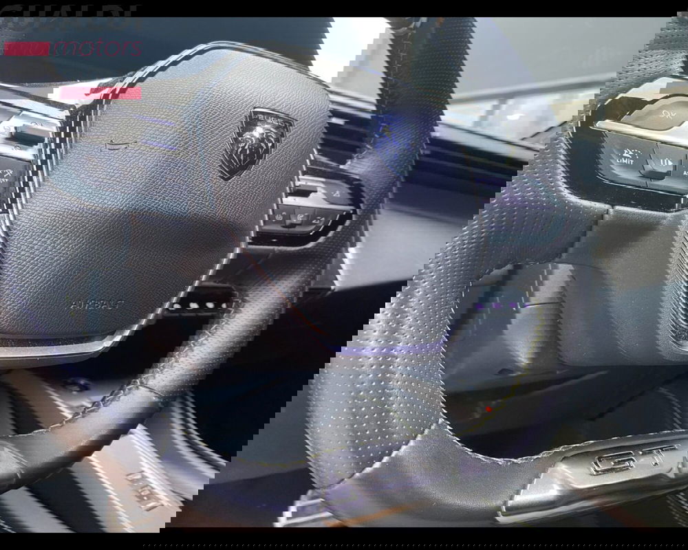 Peugeot 308 SW usata a Modena (14)