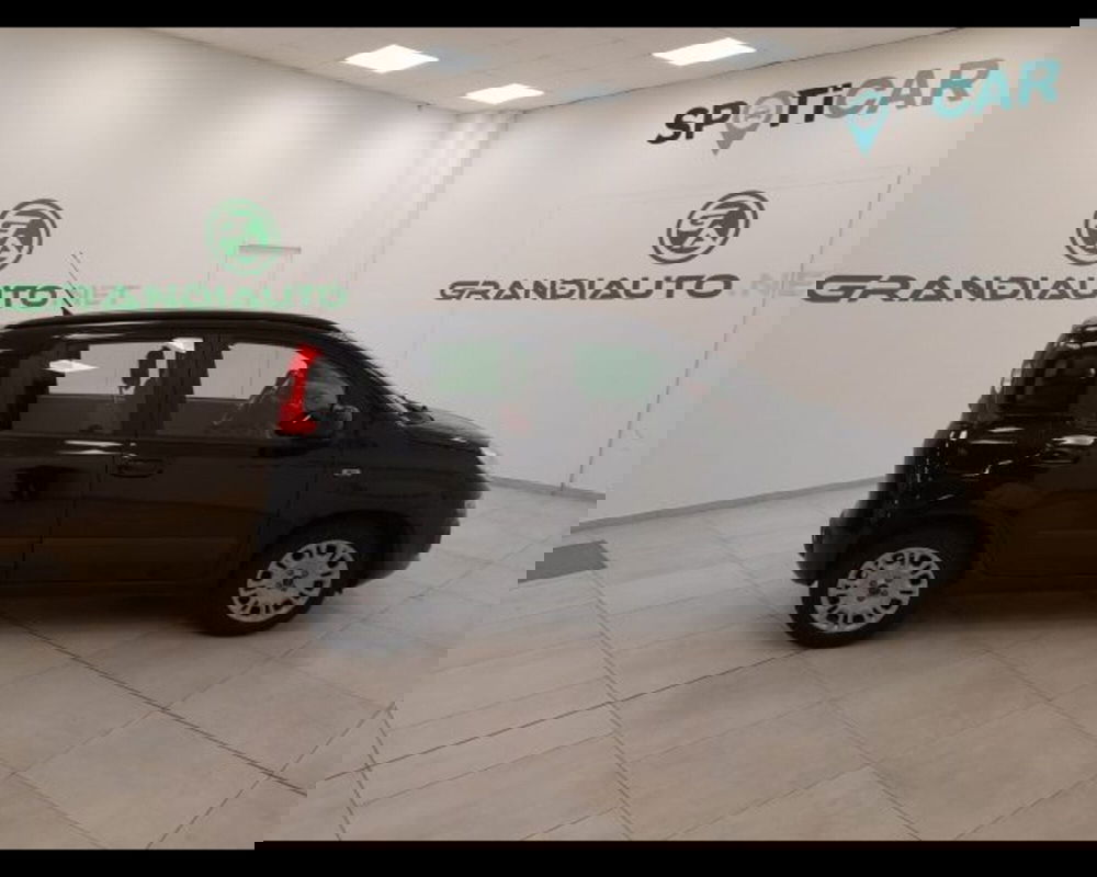 Fiat Panda usata a Alessandria