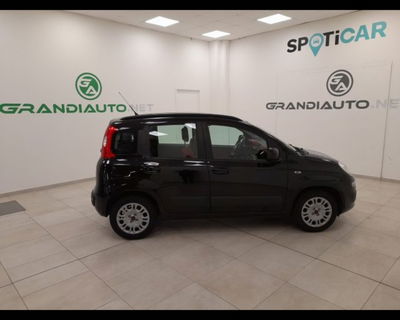 Fiat Panda 1.2 Easy del 2016 usata a Alessandria