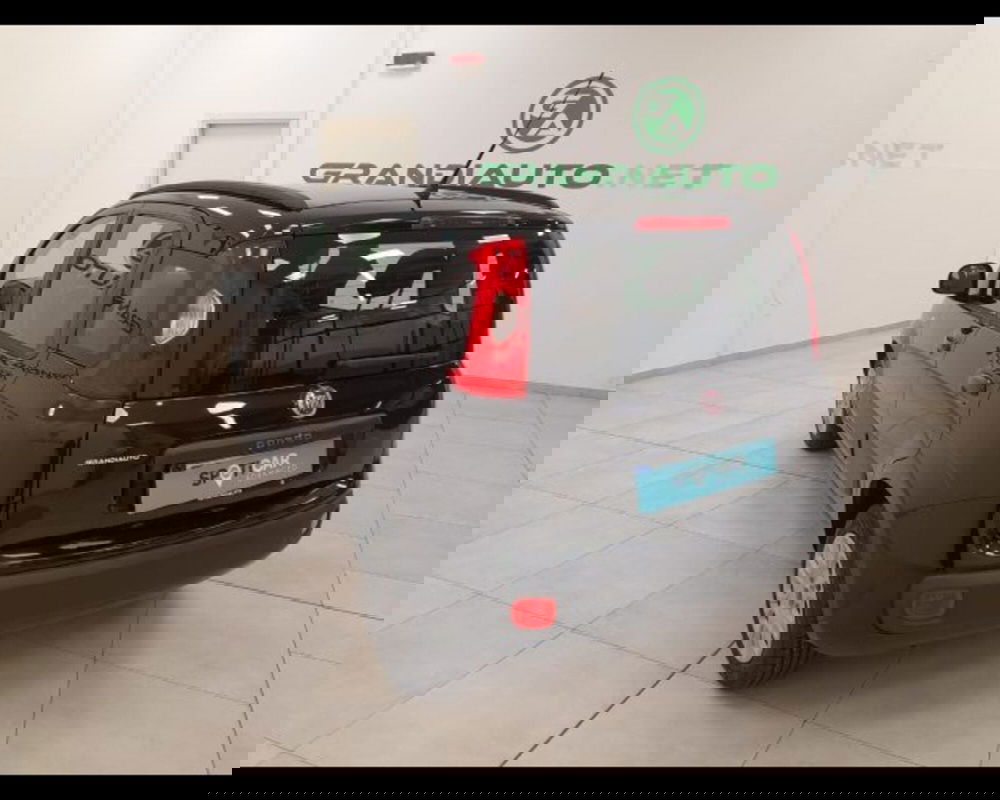 Fiat Panda usata a Alessandria (2)