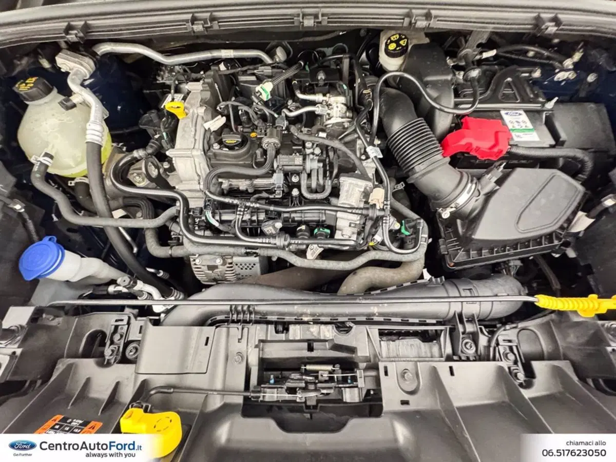 Ford Puma usata a Roma (12)