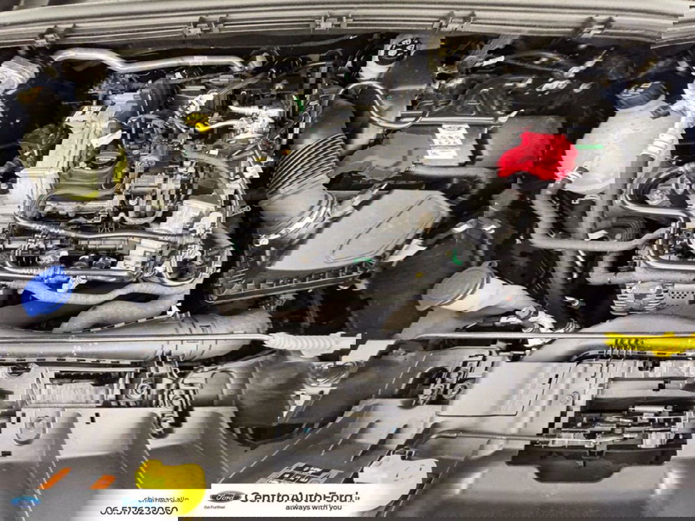 Ford Puma usata a Roma (12)