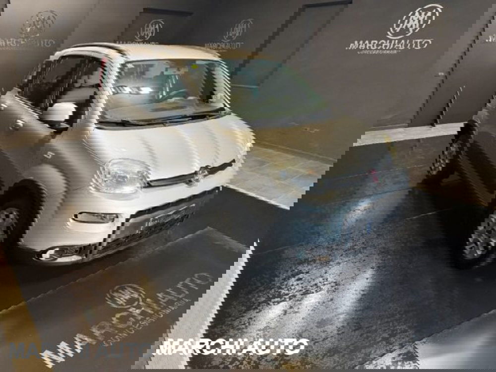 Fiat Panda usata a Perugia (3)