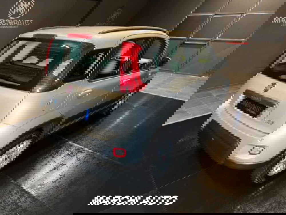 Fiat Panda usata a Perugia (5)