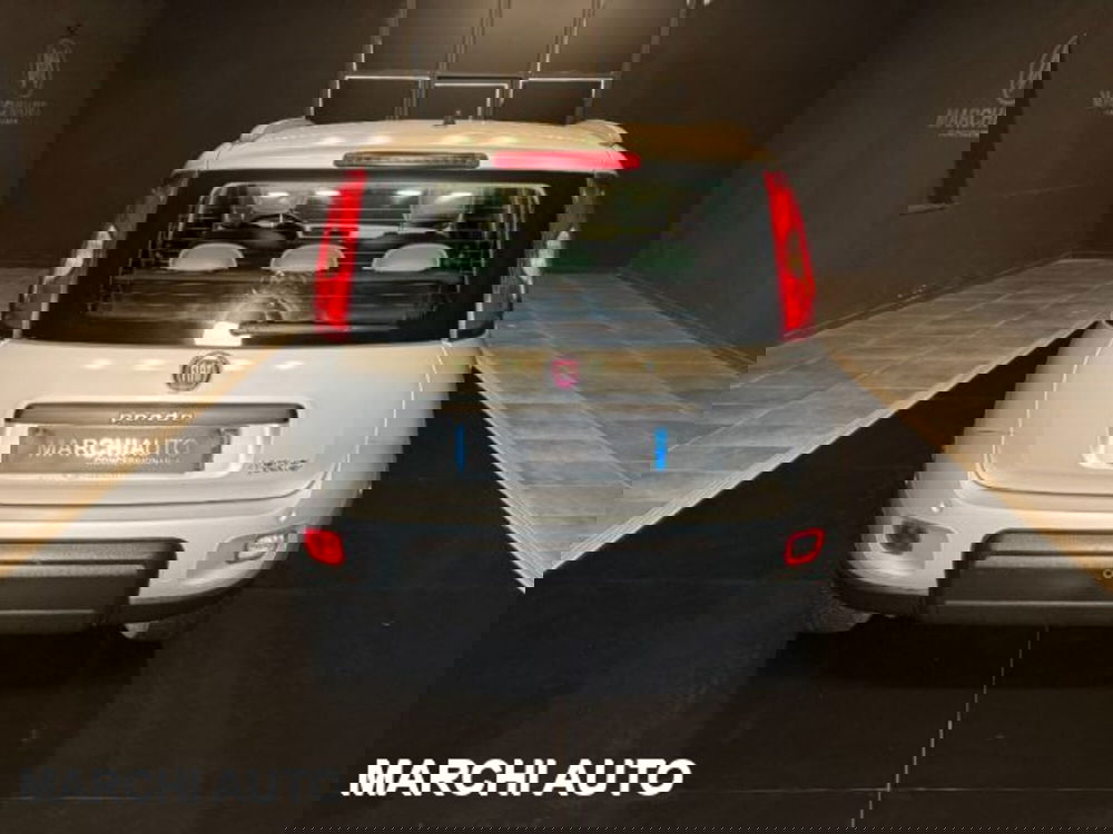 Fiat Panda usata a Perugia (6)