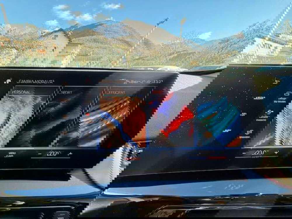 BMW X1 usata a Verbano Cusio Ossola (19)