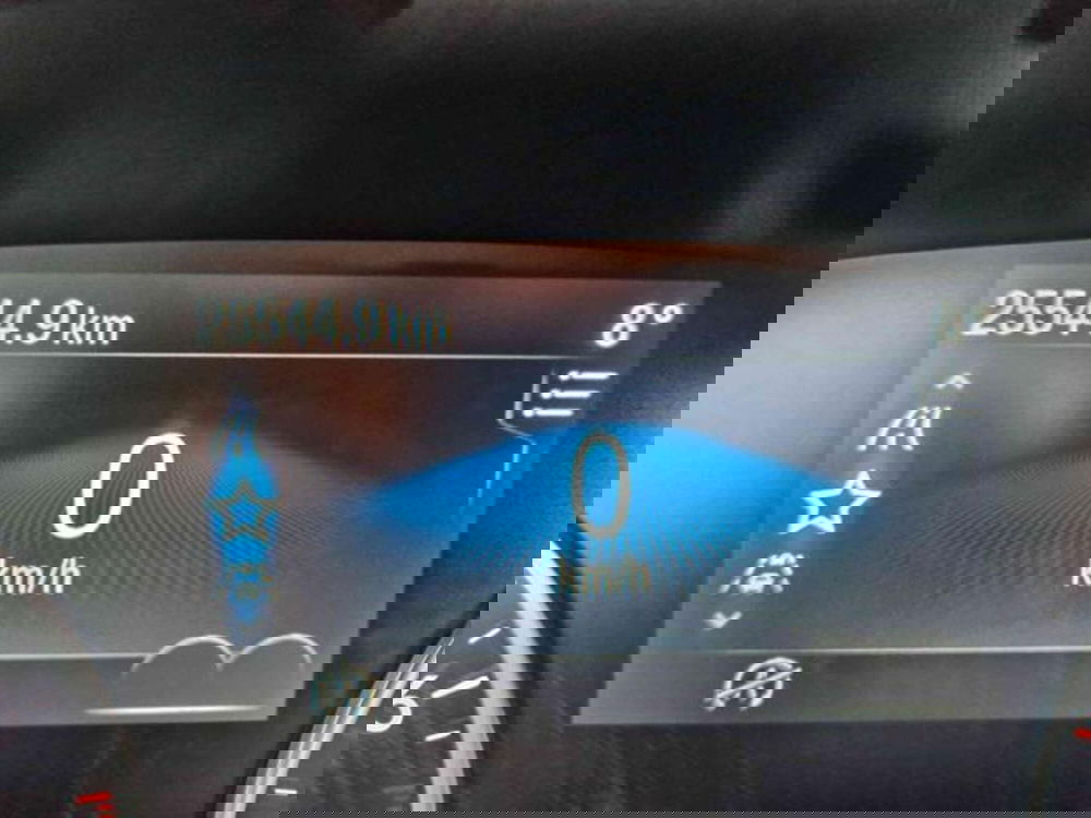 Ford EcoSport usata a Bologna (10)