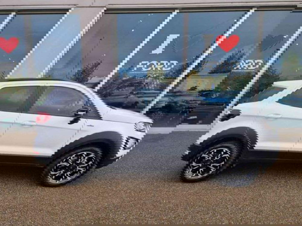 Ford EcoSport usata a Bologna (4)