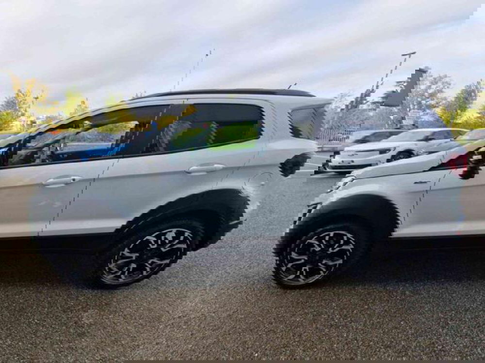 Ford EcoSport usata a Bologna (7)