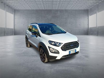 Ford EcoSport 1.0 EcoBoost 125 CV Start&amp;Stop Active del 2022 usata a Bari