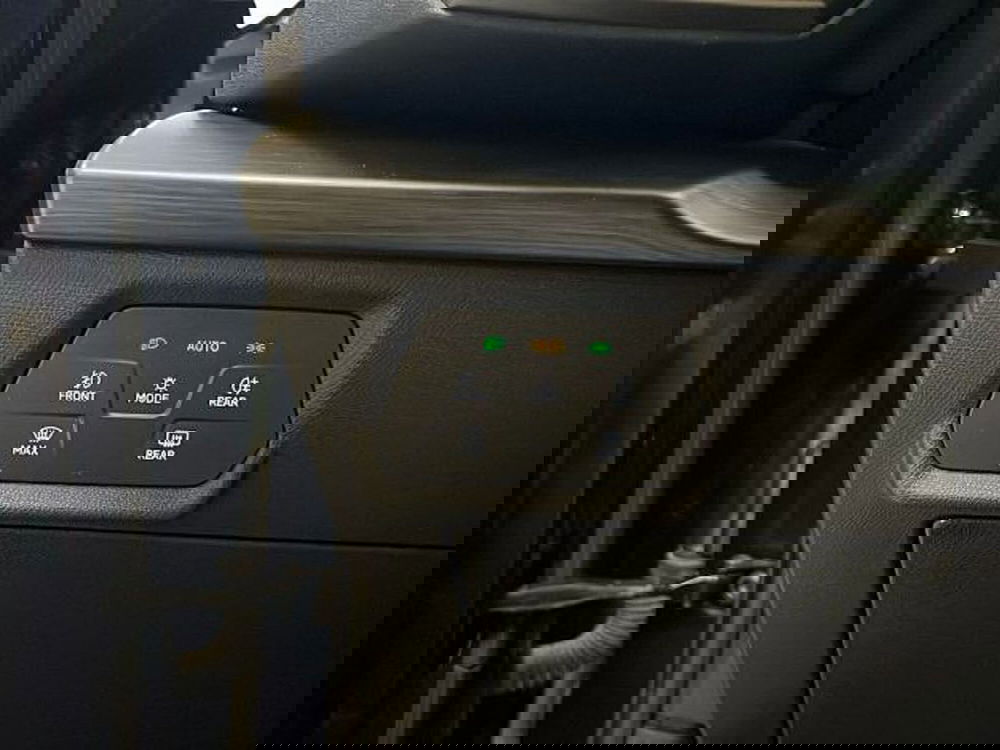 Cupra Formentor usata a Vicenza (13)