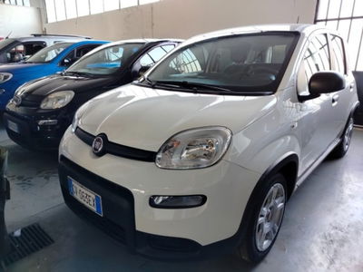 Fiat Panda 1.0 firefly hybrid s&amp;s 70cv 5p.ti del 2024 usata a Cesena