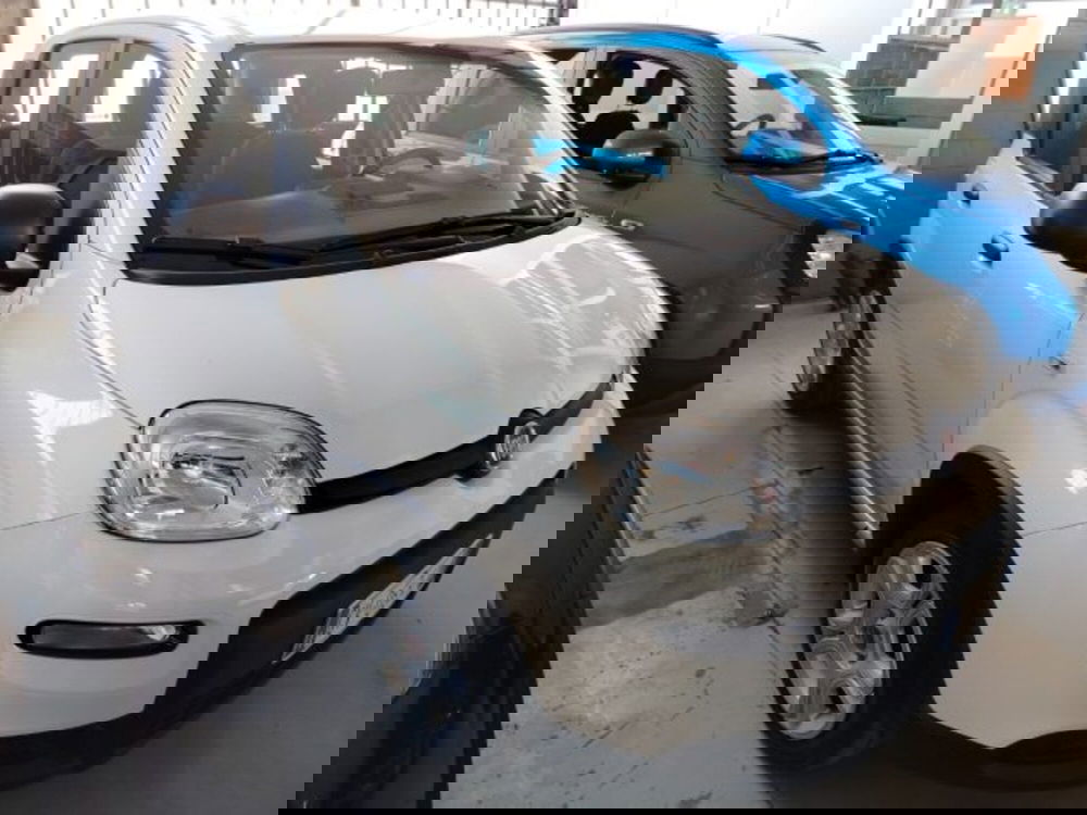 Fiat Panda usata a Forlì-Cesena (10)