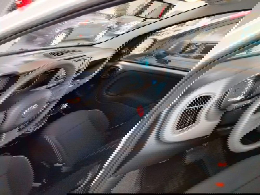 Fiat Panda usata a Forlì-Cesena (15)