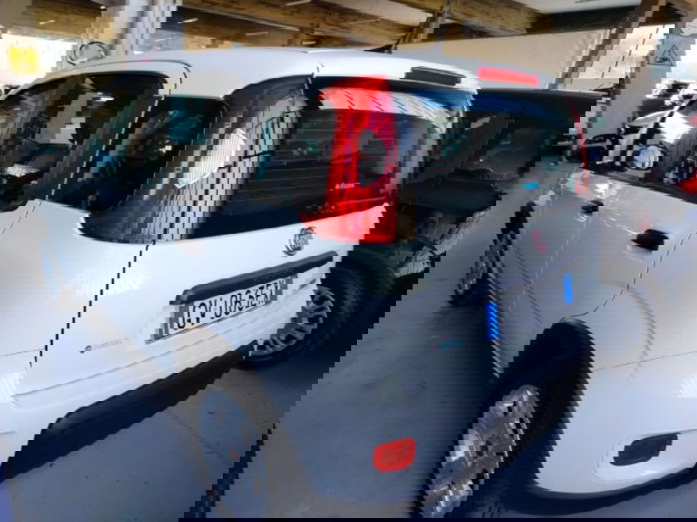 Fiat Panda usata a Forlì-Cesena (5)