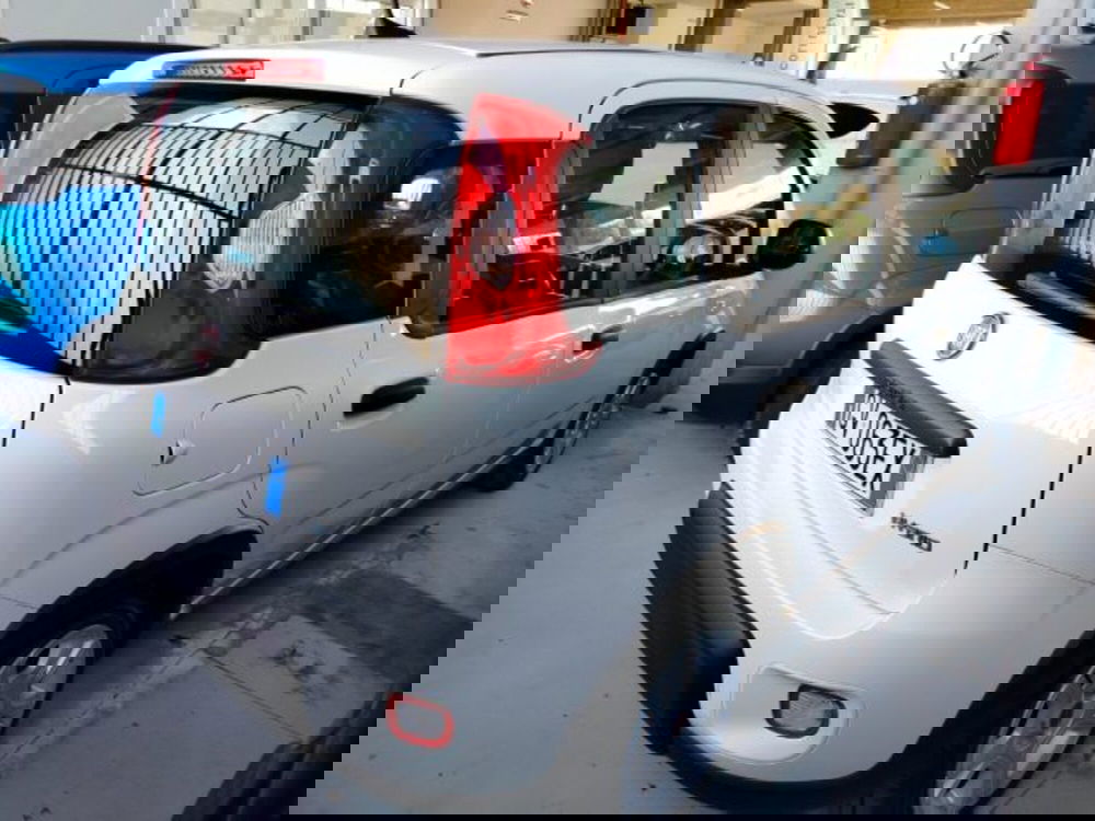 Fiat Panda usata a Forlì-Cesena (8)