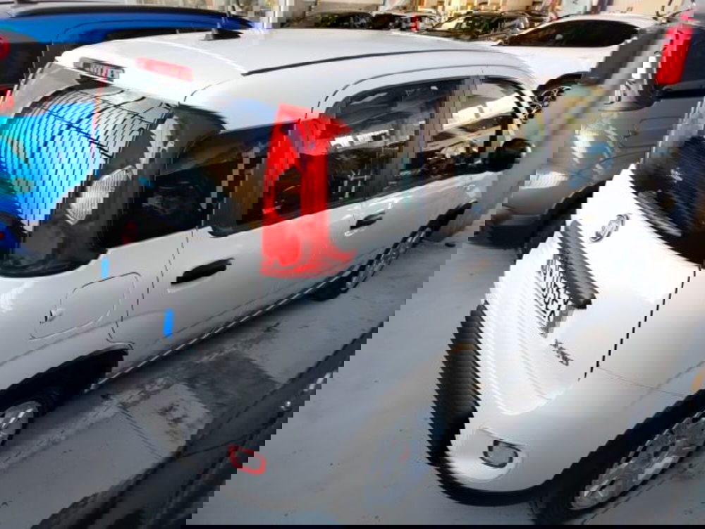 Fiat Panda usata a Forlì-Cesena (9)