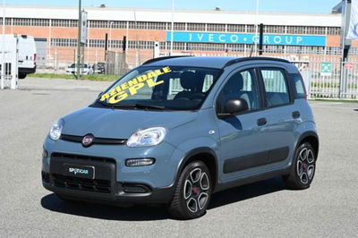 Fiat Panda 1.2 EasyPower City Life del 2022 usata a Pianezza