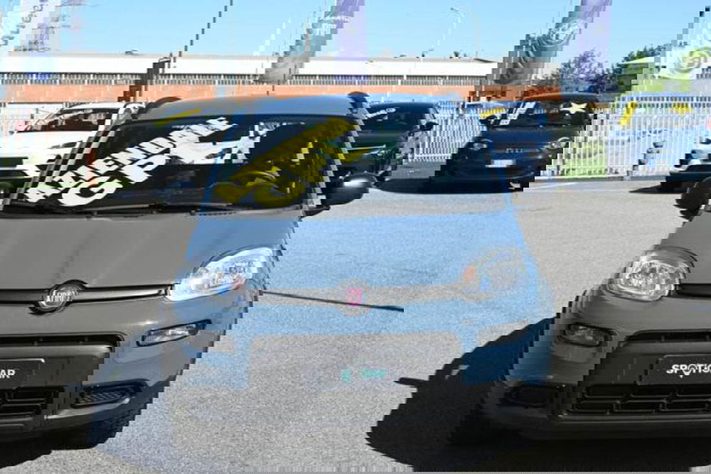 Fiat Panda usata a Torino (2)