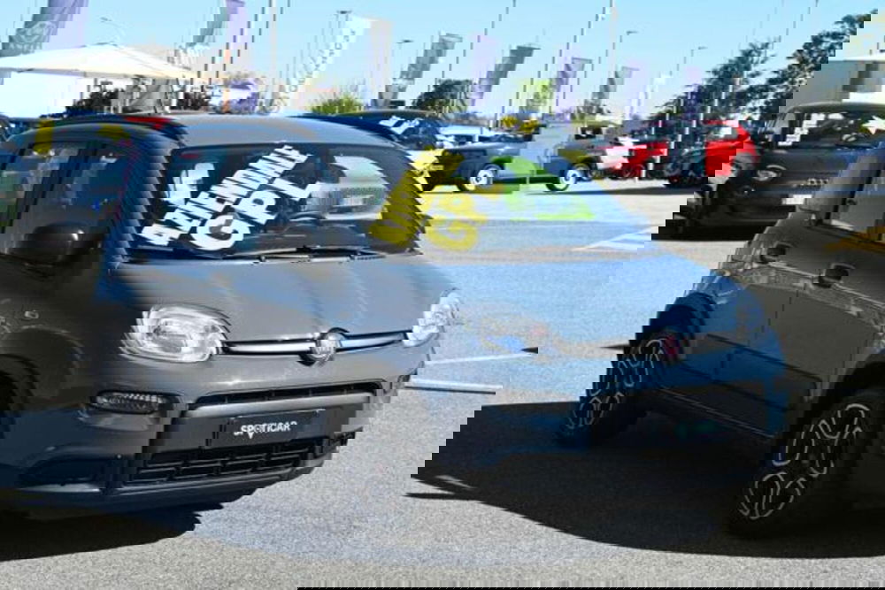 Fiat Panda usata a Torino (3)