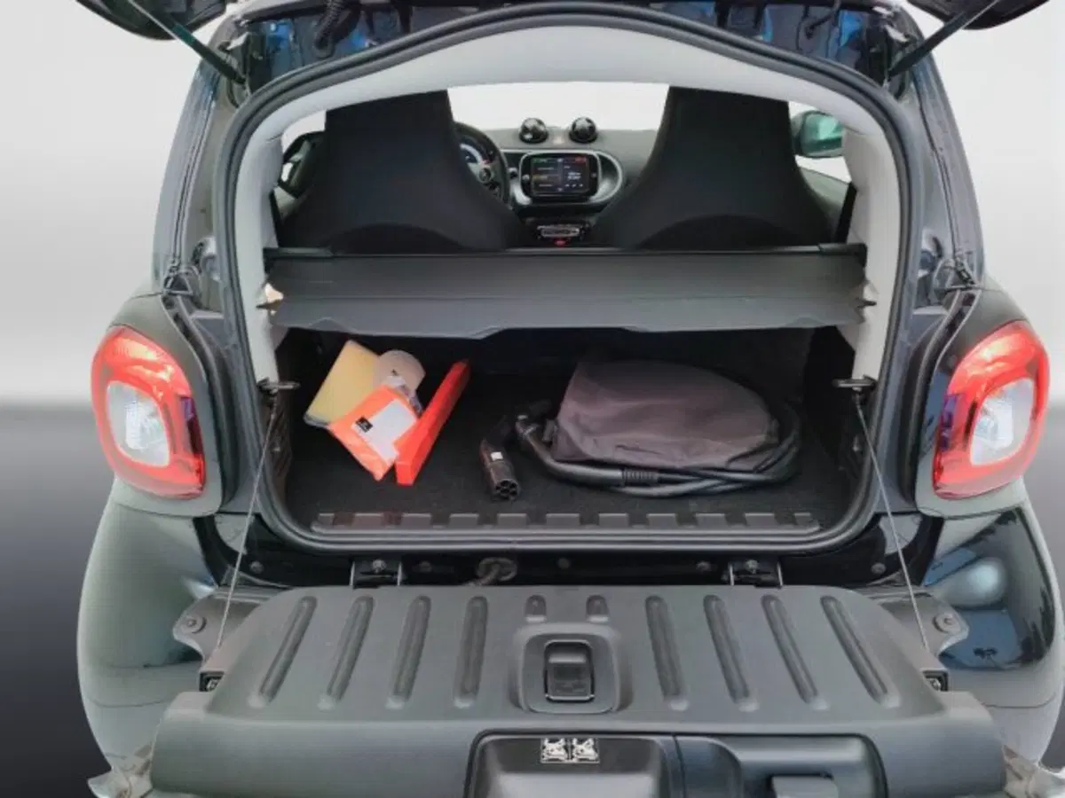 smart Fortwo usata a Teramo (5)