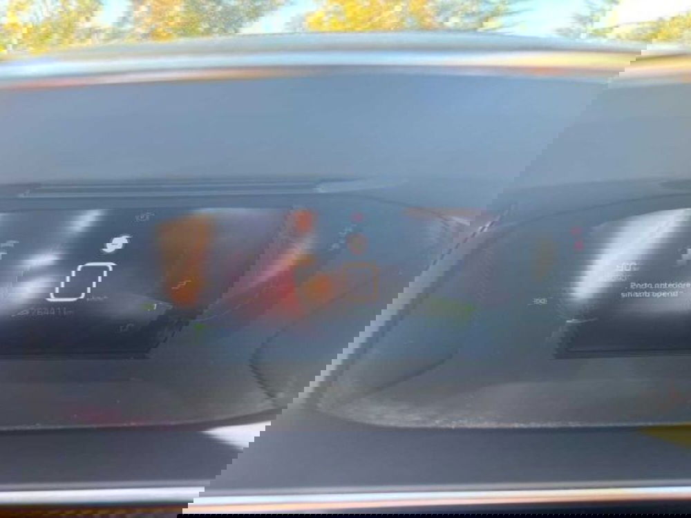 Peugeot 208 usata a Caltanissetta (15)