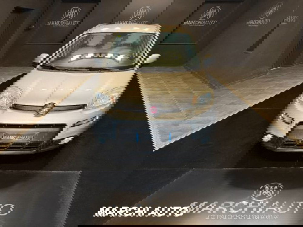 Fiat Panda usata a Perugia (2)