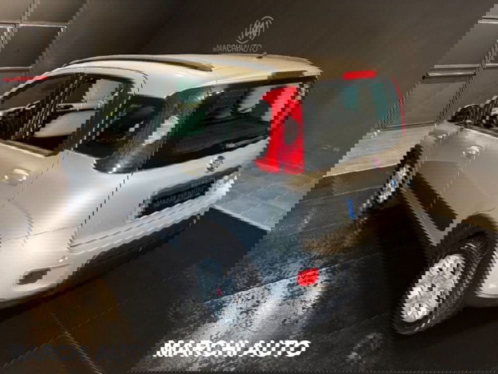 Fiat Panda usata a Perugia (7)