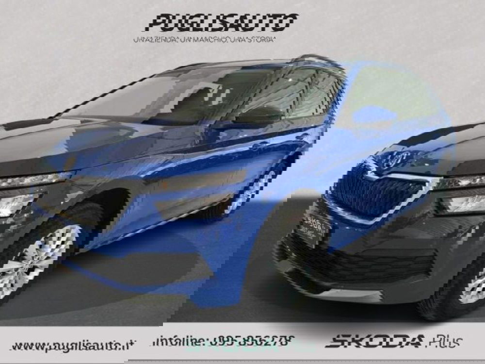 Skoda Kamiq usata a Catania (3)