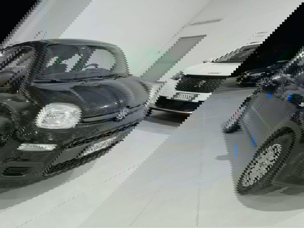 Fiat Panda usata a Catania