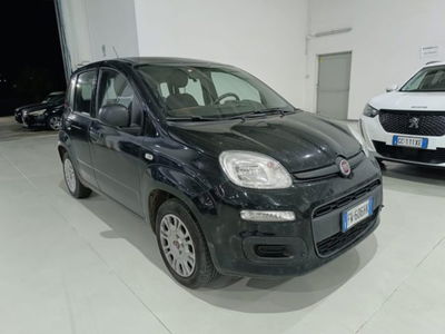 Fiat Panda 1.2 EasyPower Easy del 2019 usata a Belpasso