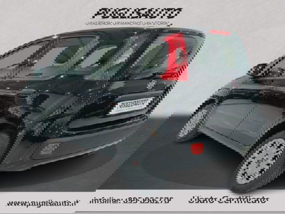 Fiat Panda usata a Catania (6)