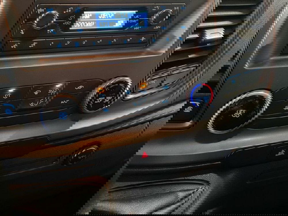 Ford Transit Custom Furgone usata a Torino (11)