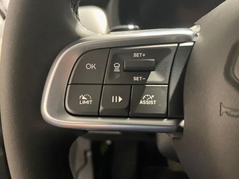 Jeep Avenger nuova a Torino (12)