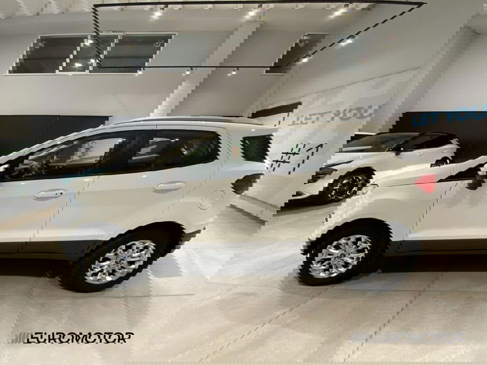 Ford EcoSport usata a Bari (9)