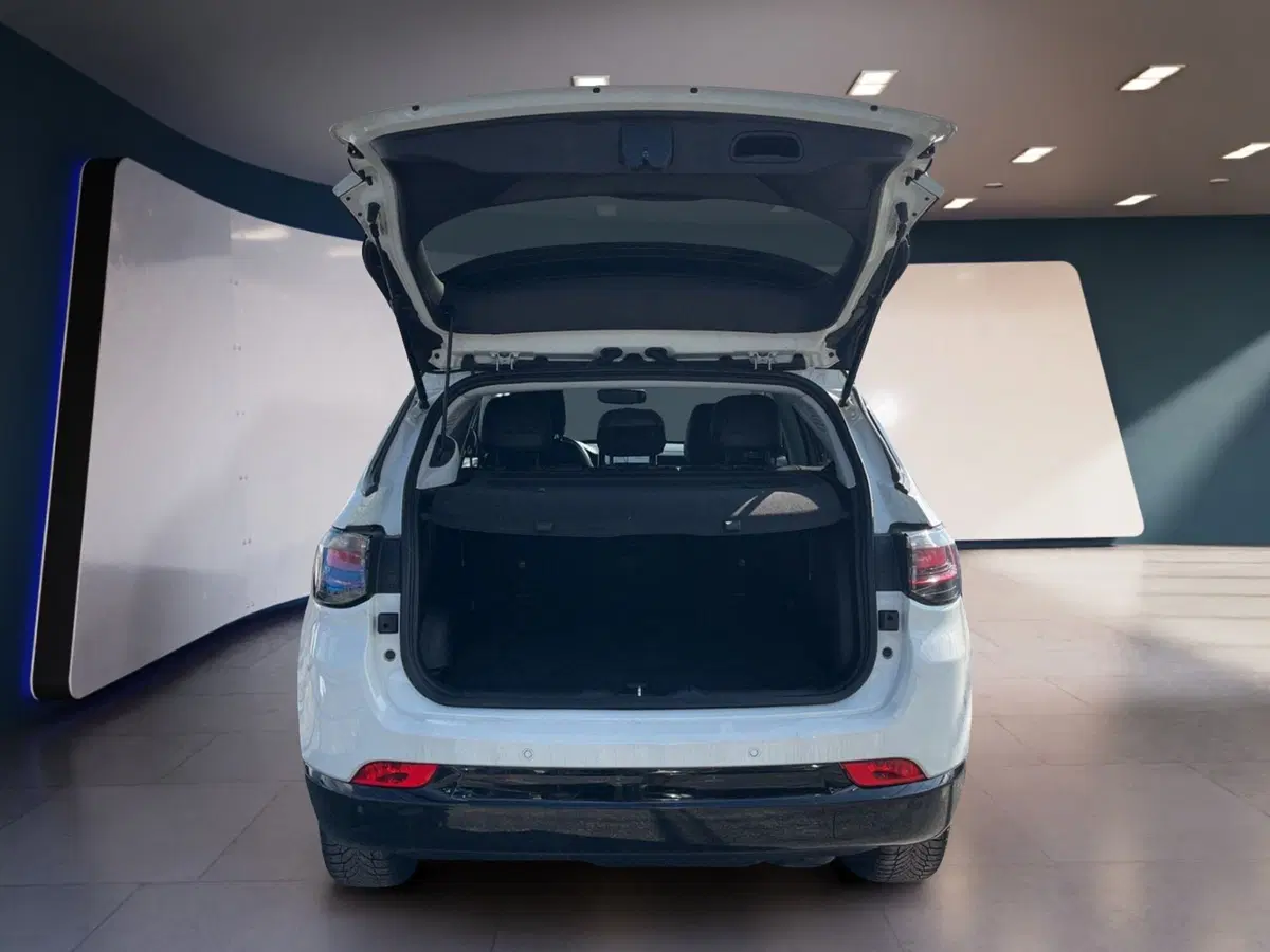 Jeep Compass usata a Torino (8)
