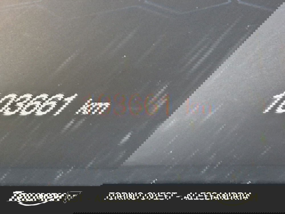 Jeep Compass usata a Genova (14)