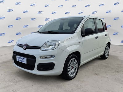 Fiat Panda 1.2 Easy del 2015 usata a Pistoia
