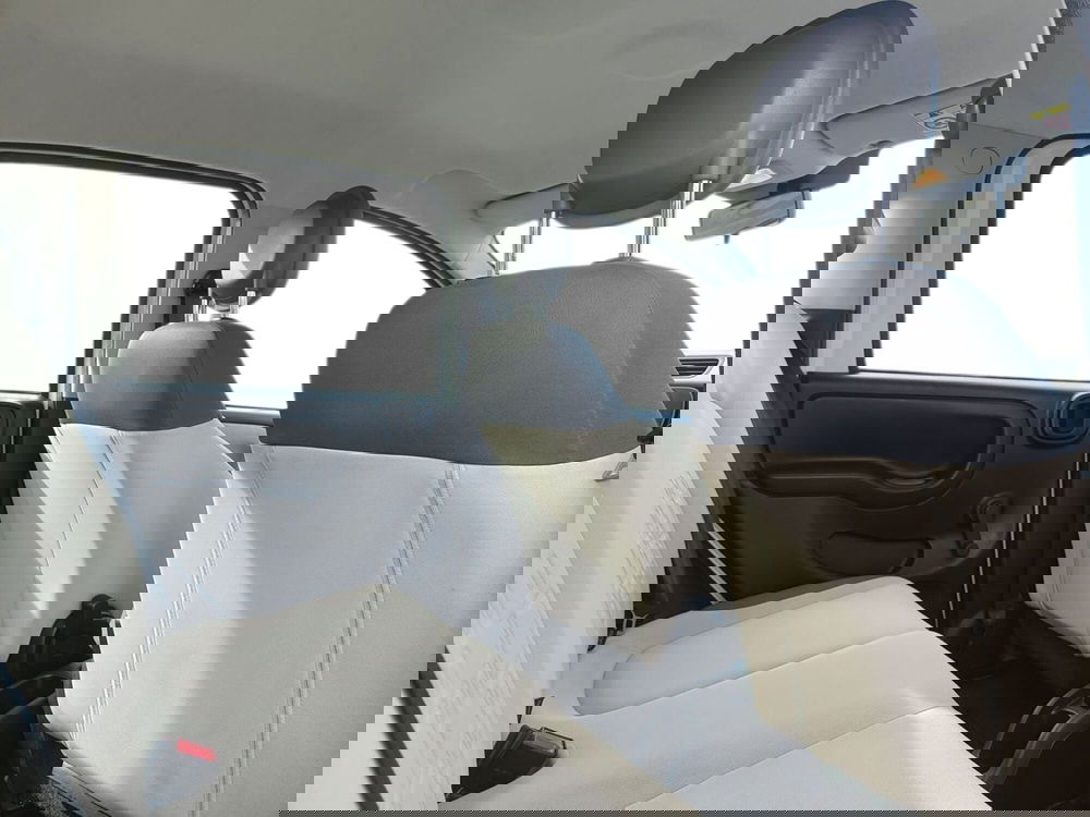 Fiat Panda usata a Pistoia (12)