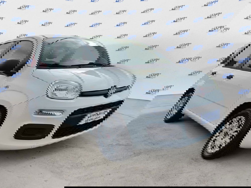 Fiat Panda usata a Pistoia (2)