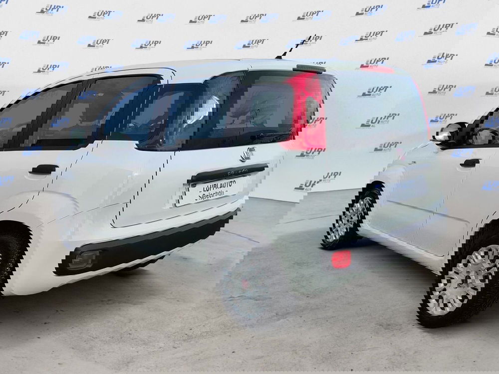 Fiat Panda usata a Pistoia (4)