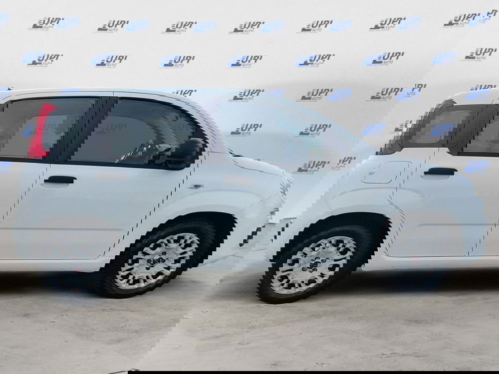 Fiat Panda usata a Pistoia (6)