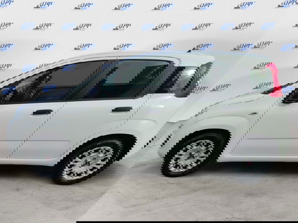 Fiat Panda usata a Pistoia (7)