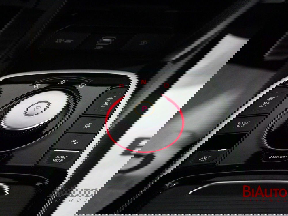 Kia e-Niro usata a Firenze (16)